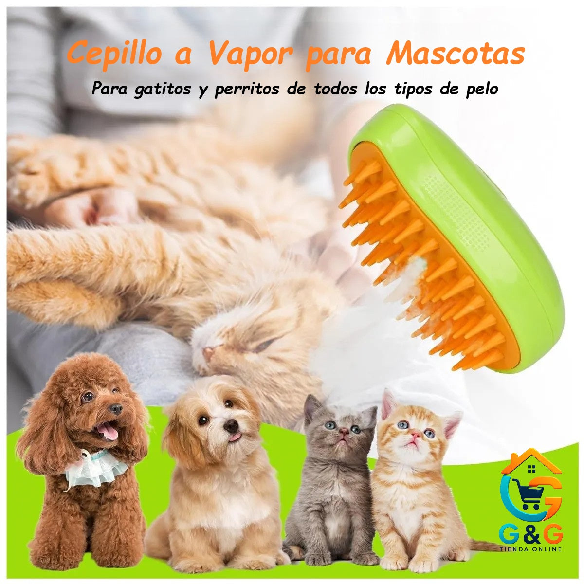 PACK ¡¡2 Cepillos de Vapor para Mascotas 3 en 1!!