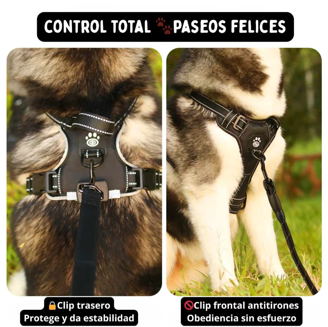 Arnés LED Ergonómico
