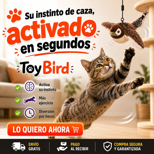 ToyBird - Su instinto de caza, activado en segundos